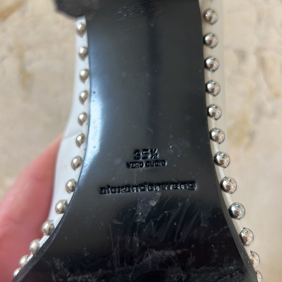 HOST PICK 🔥 Alexander Wang Rie Pumps - Picture 9 of 10